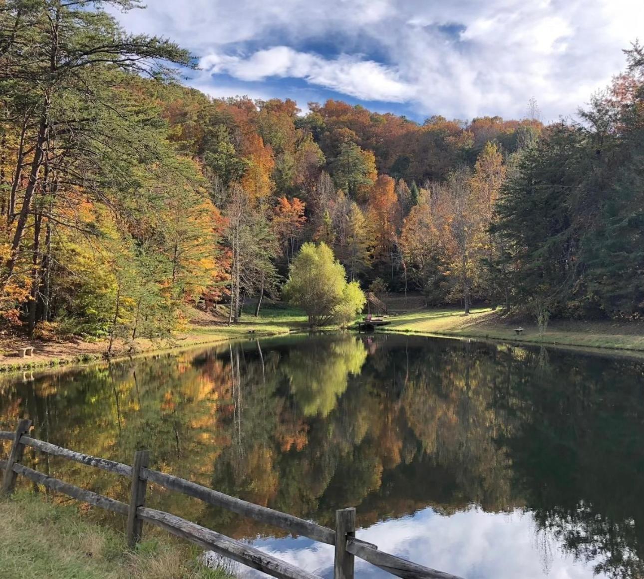 Yoli Bear Hideaway Villa Sevierville Bagian luar foto