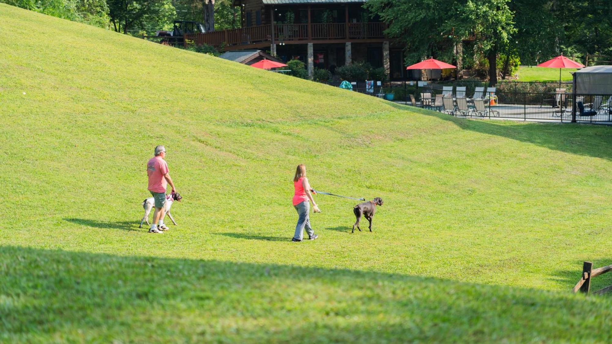 Yoli Bear Hideaway Villa Sevierville Bagian luar foto