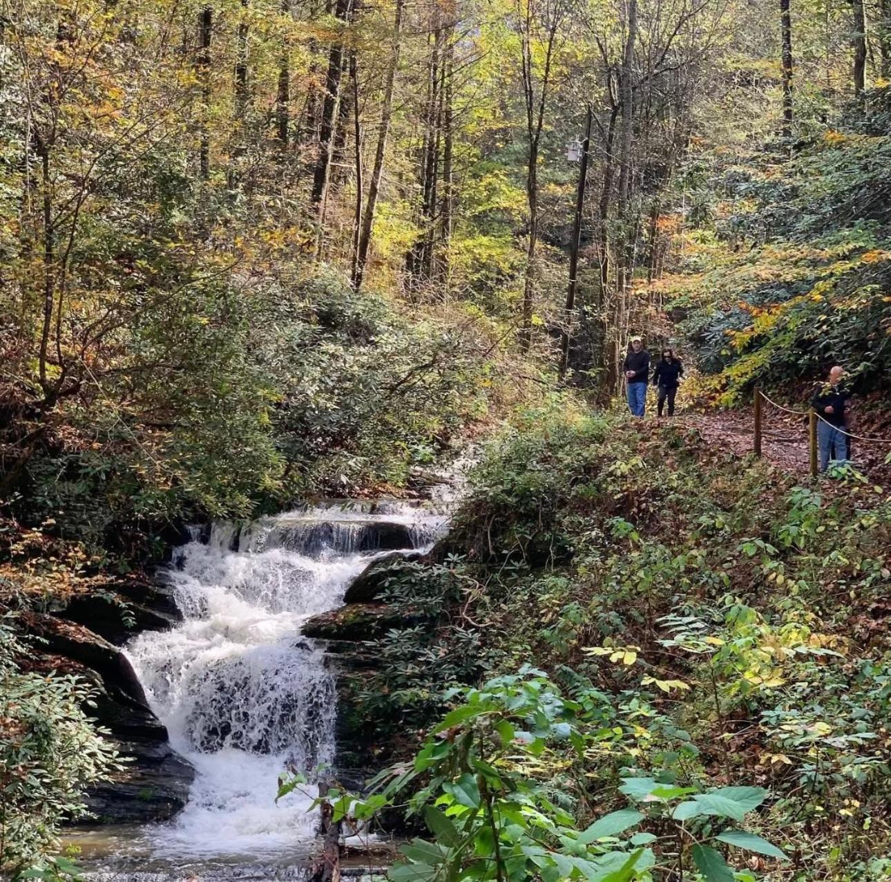 Yoli Bear Hideaway Villa Sevierville Bagian luar foto