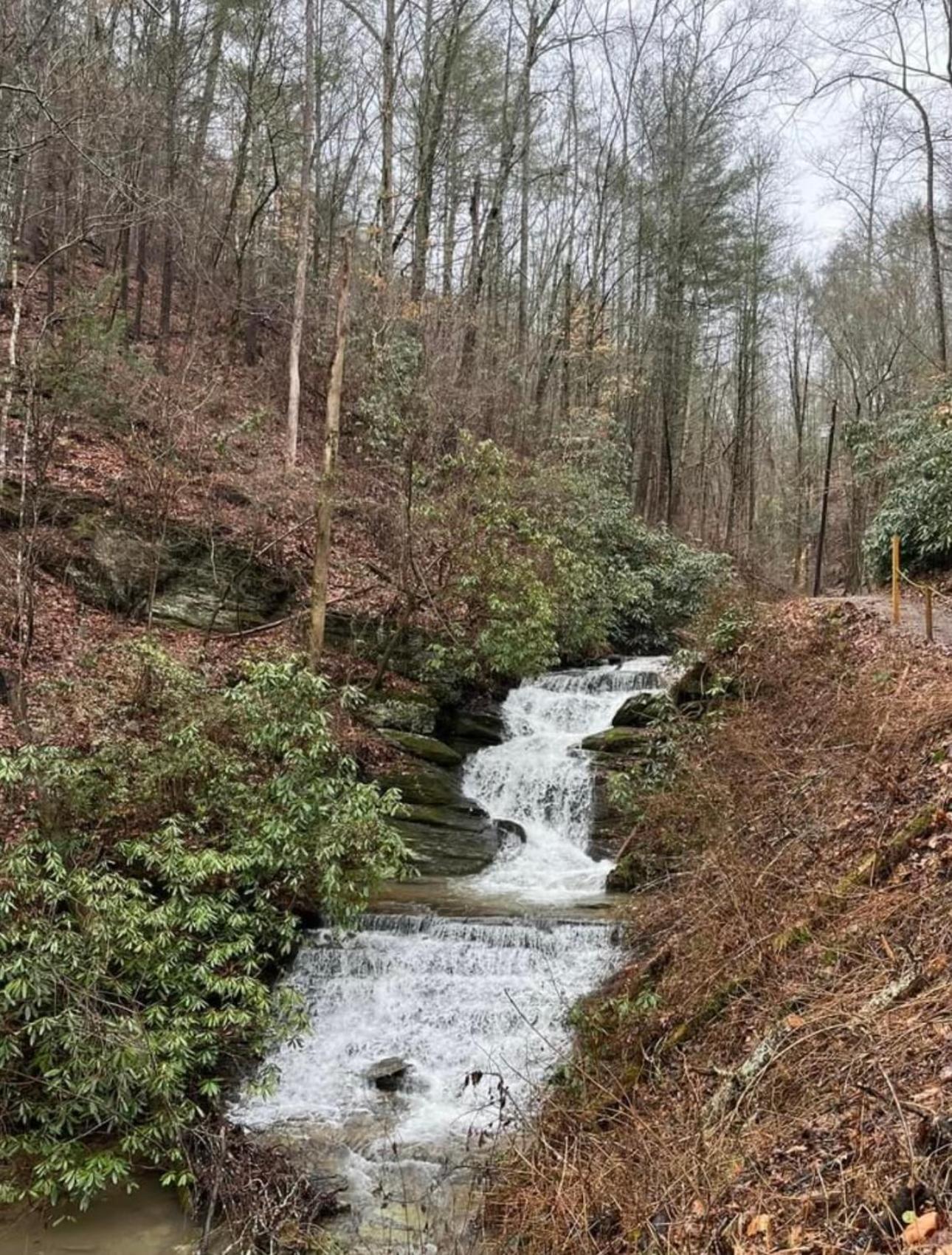 Yoli Bear Hideaway Villa Sevierville Bagian luar foto