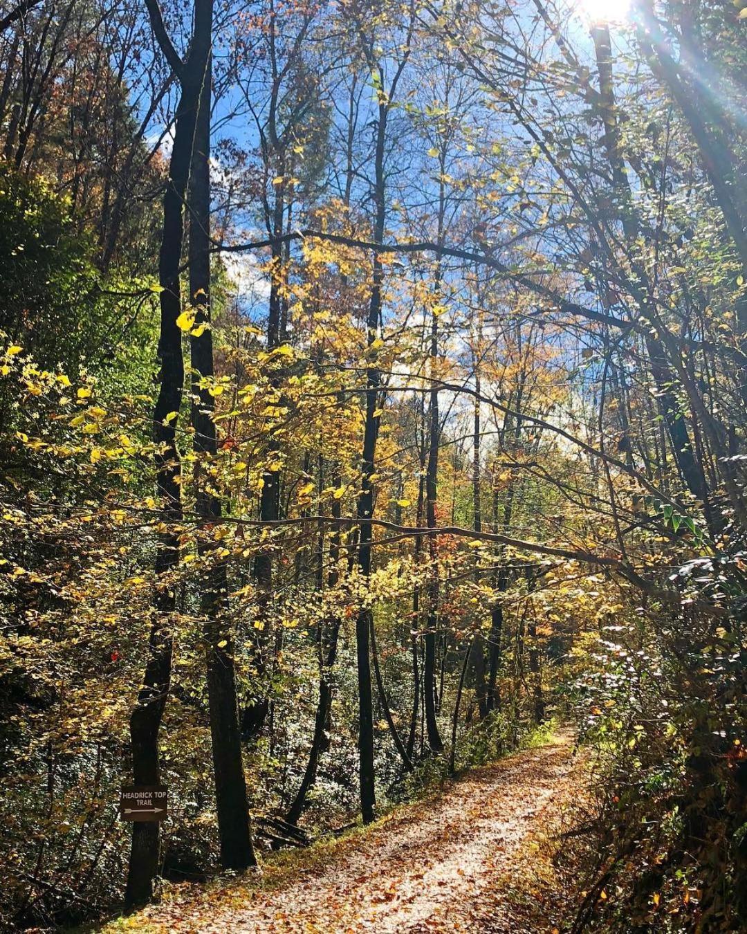 Yoli Bear Hideaway Villa Sevierville Bagian luar foto